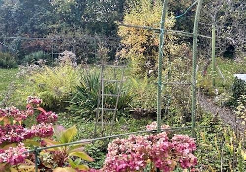 Garten hinter dem Haus