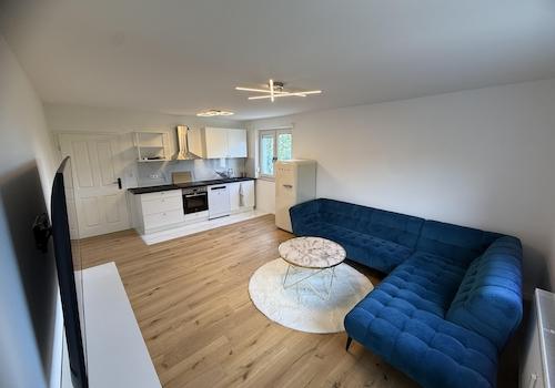 Wohnzimmer / Küche