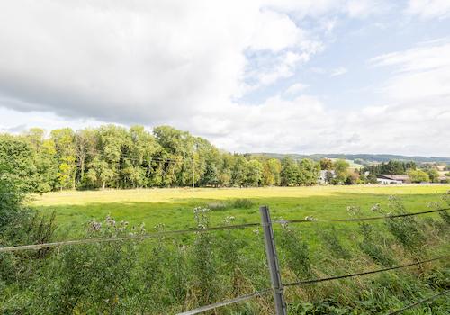 zugehörige Wiese