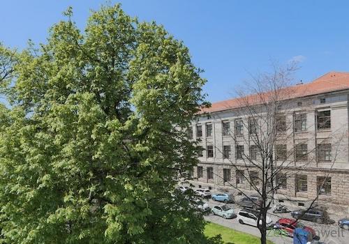 Blick aus dem Küchenfenster