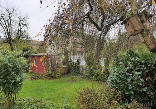 Novemberblick in den kleinen Garten