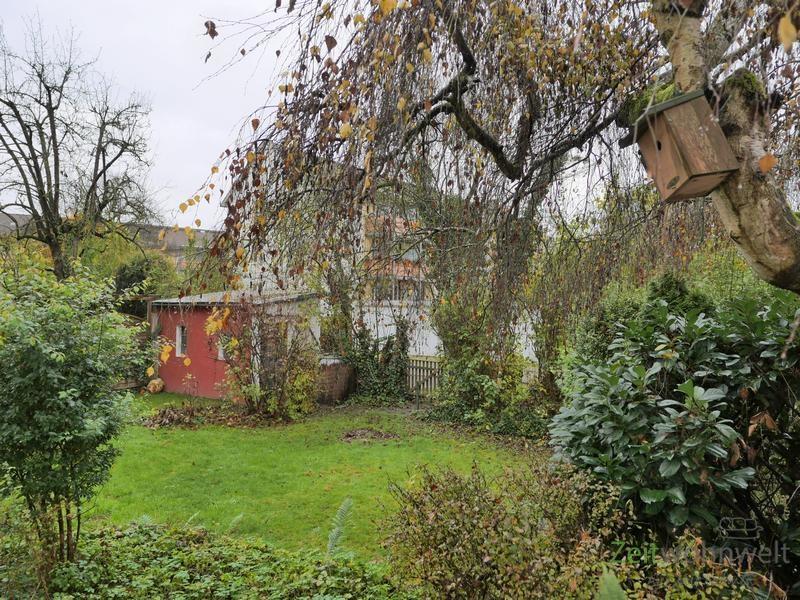 Novemberblick in den kleinen Garten