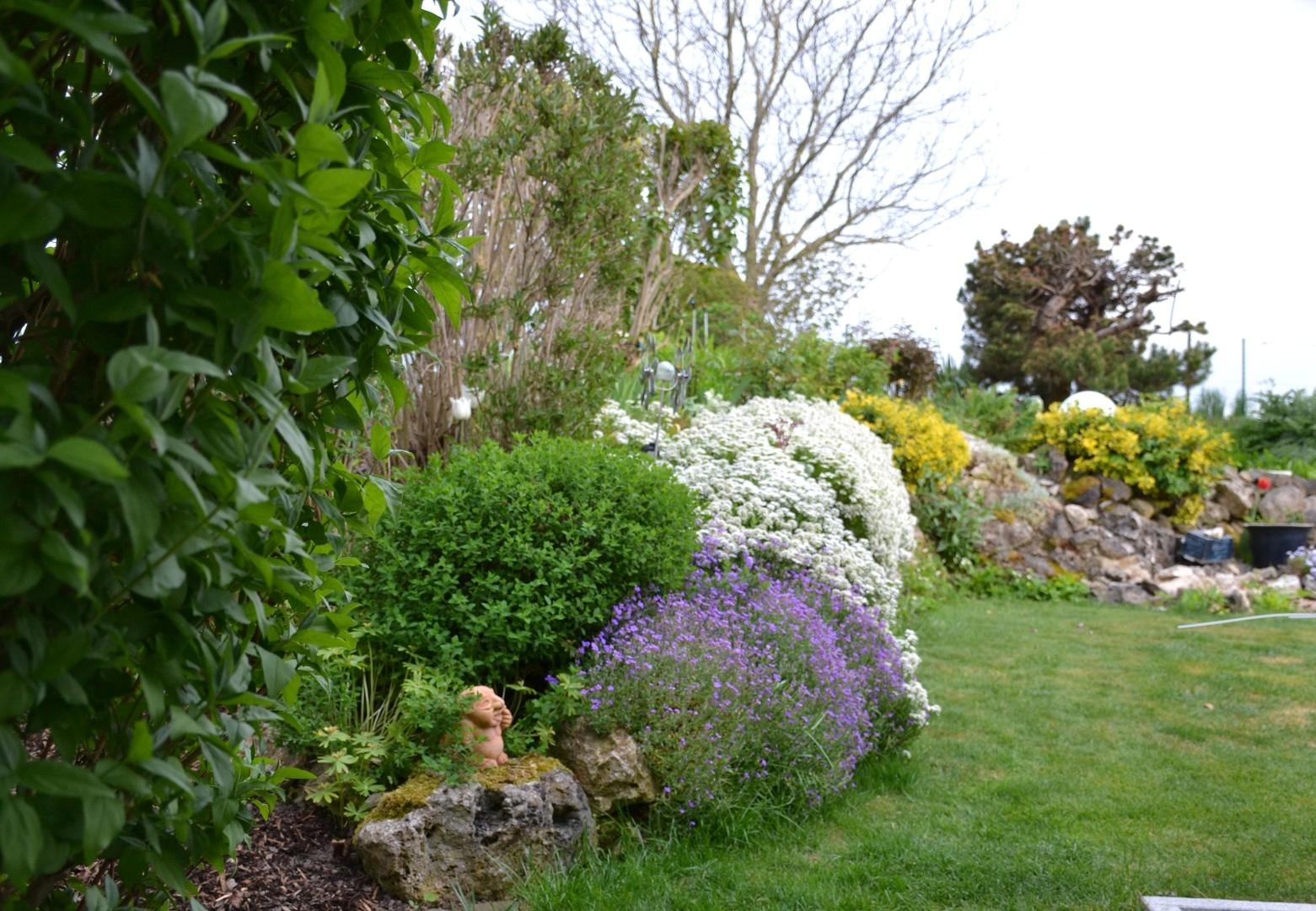 Blick in den Garten