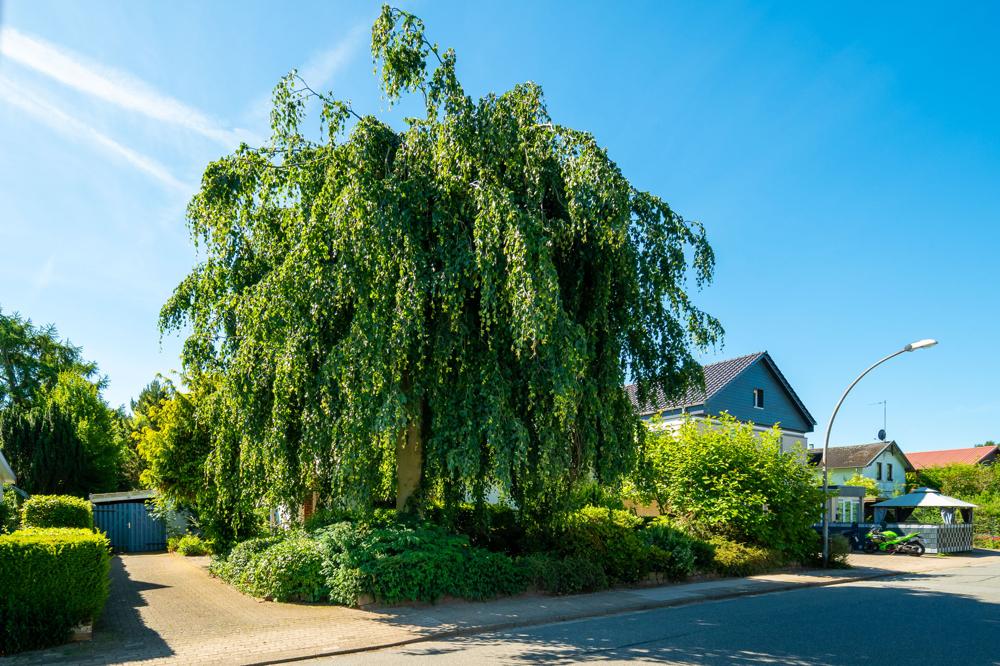 Ansicht