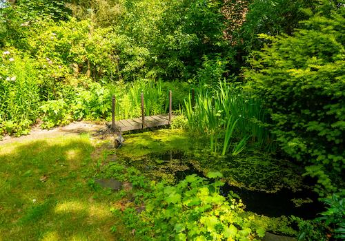 Garten
