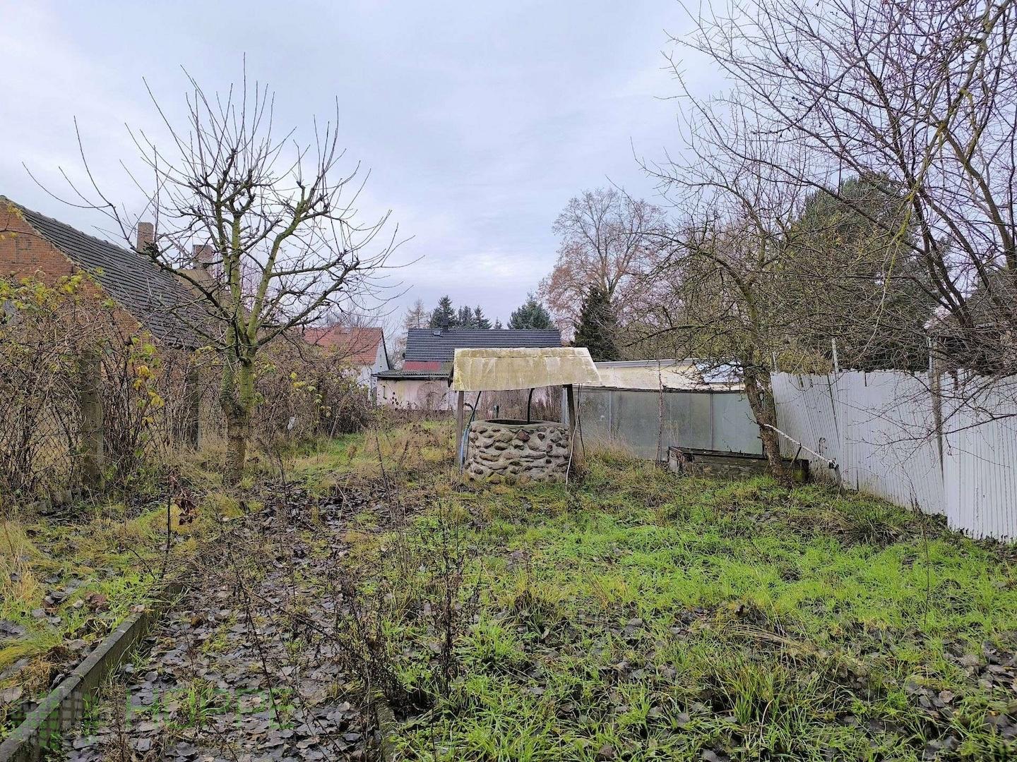 Garten Bild 2