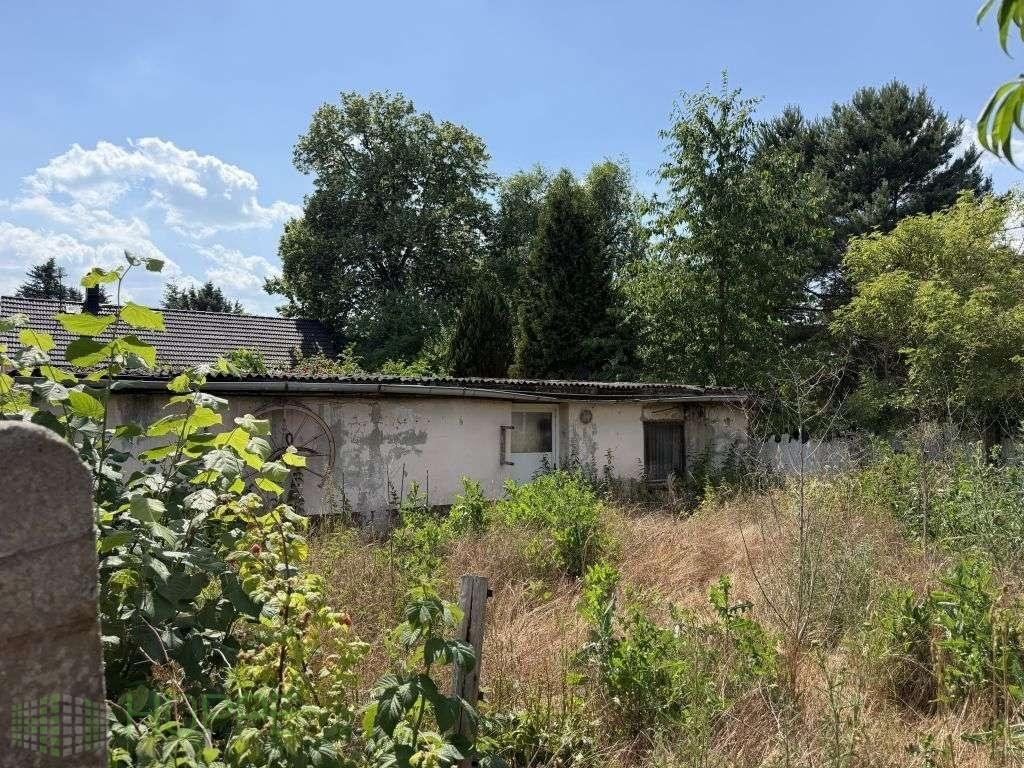 Schuppen 1 Rückansicht