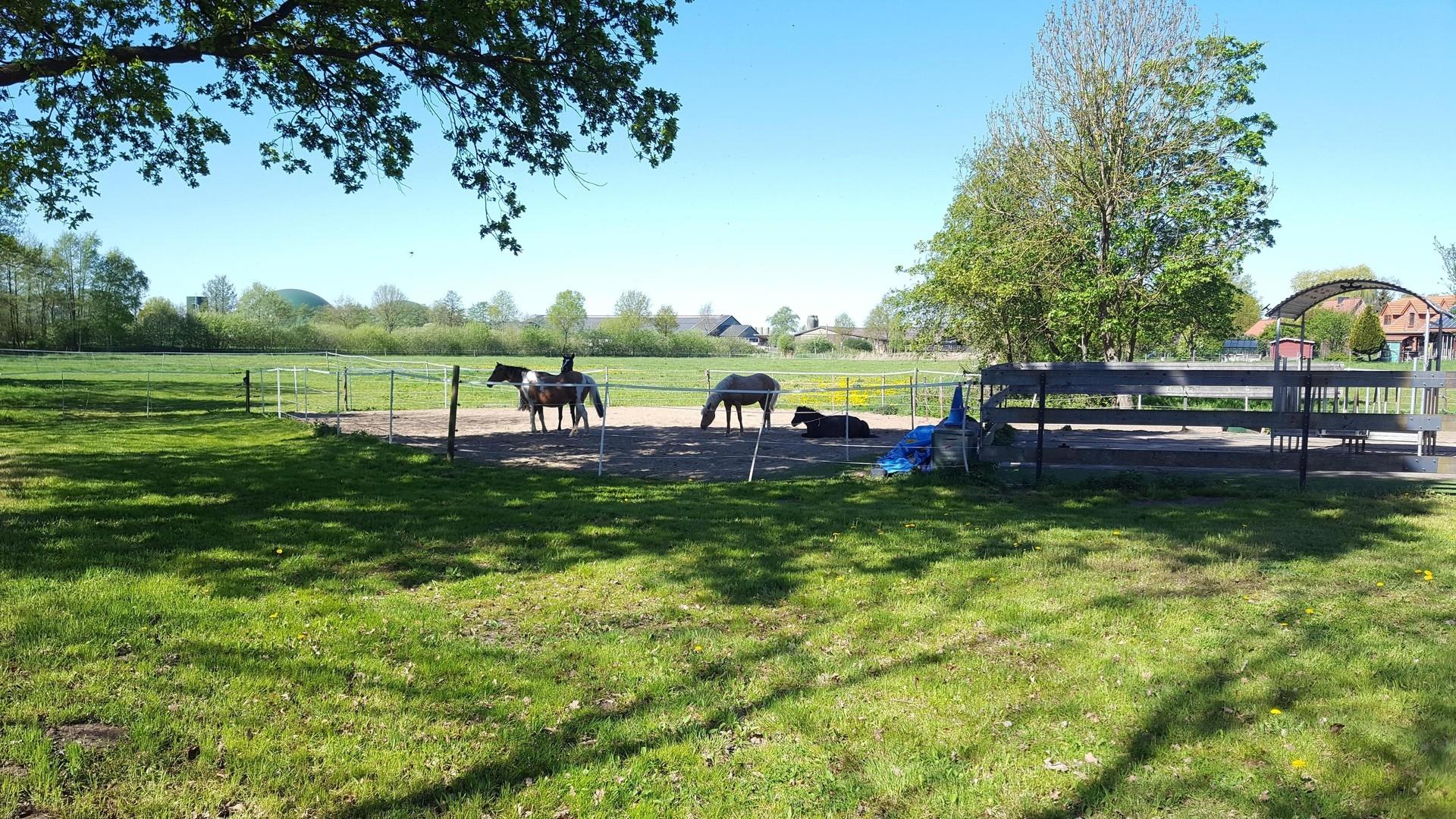 Paddock und Hausweide