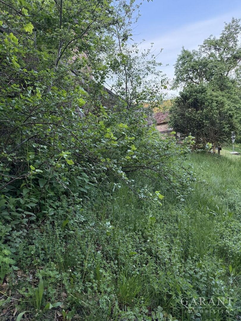Kräutergarten