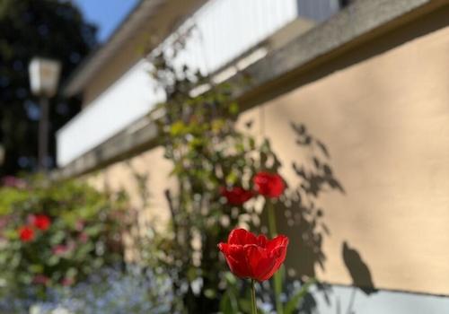 Herzlich Willkommen