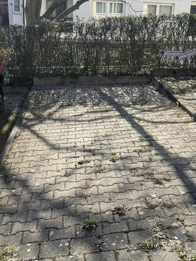 Stellplatz 1