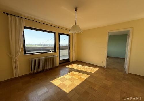 Zimmer DG