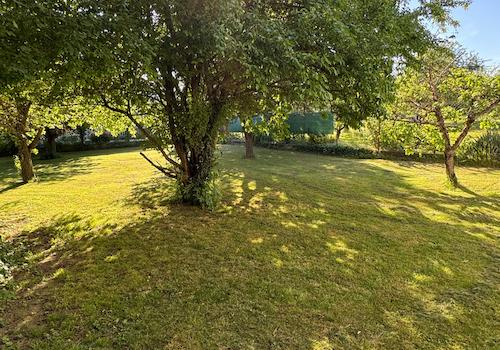 Garten (Seite 1)