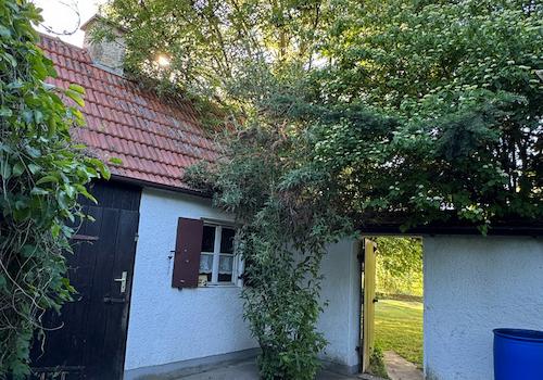 Hinterhof (Seite 1)