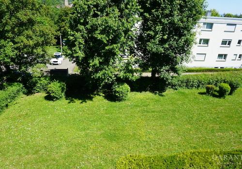Gemeinschaftsgarten