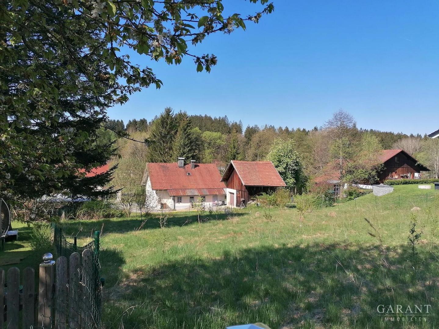 IMG 20250502 101937