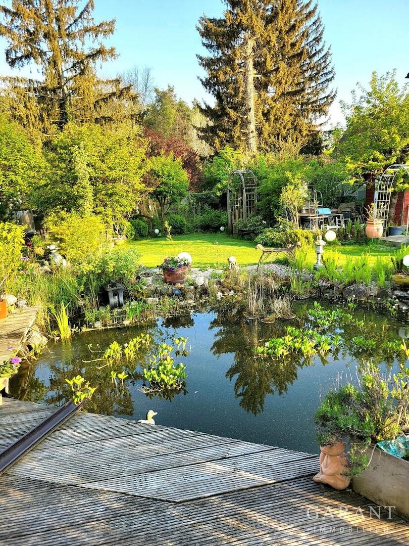 Teich Sommer