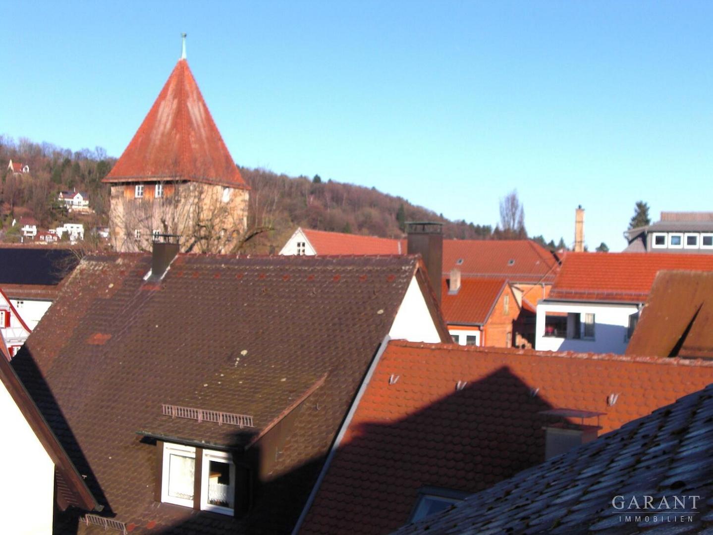 Blick über die Dächer
