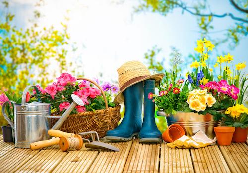 Garten2