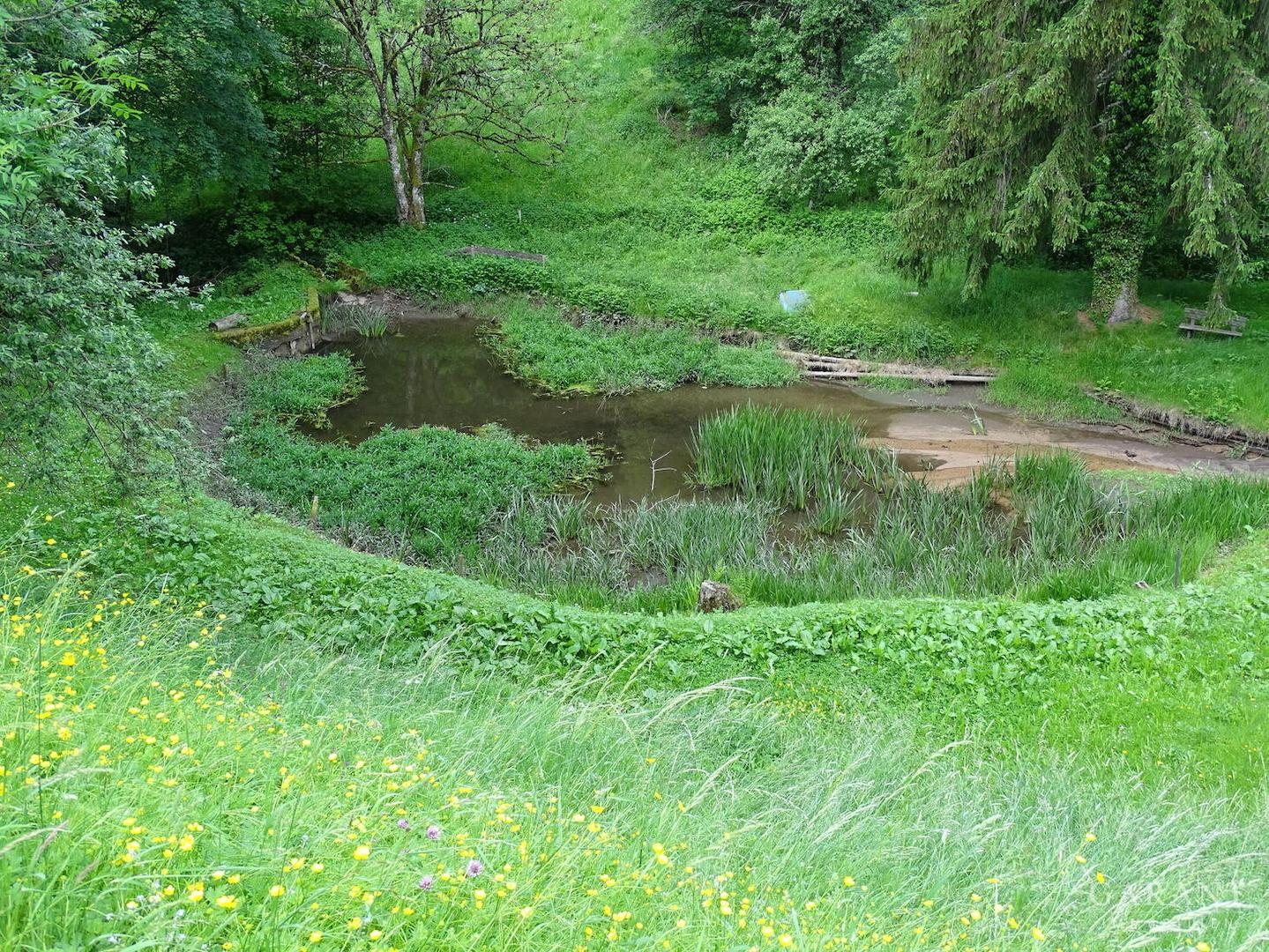 Weiher B3