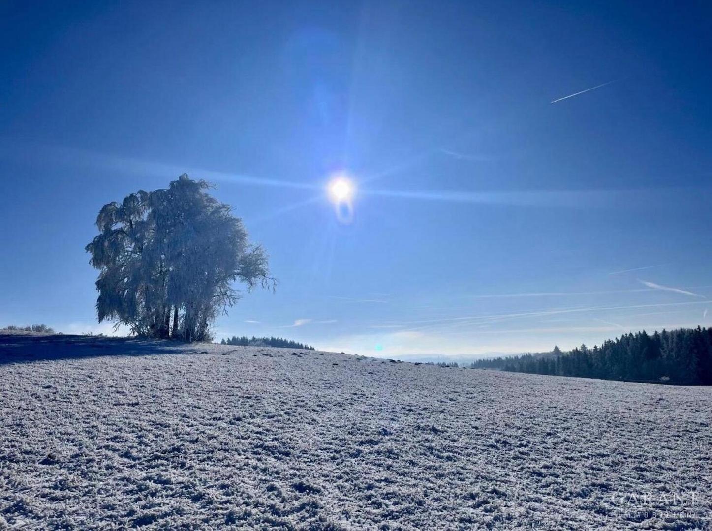 Winterimpression 1