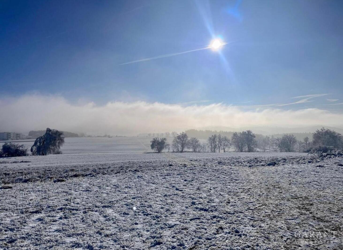 Winterimpression 2