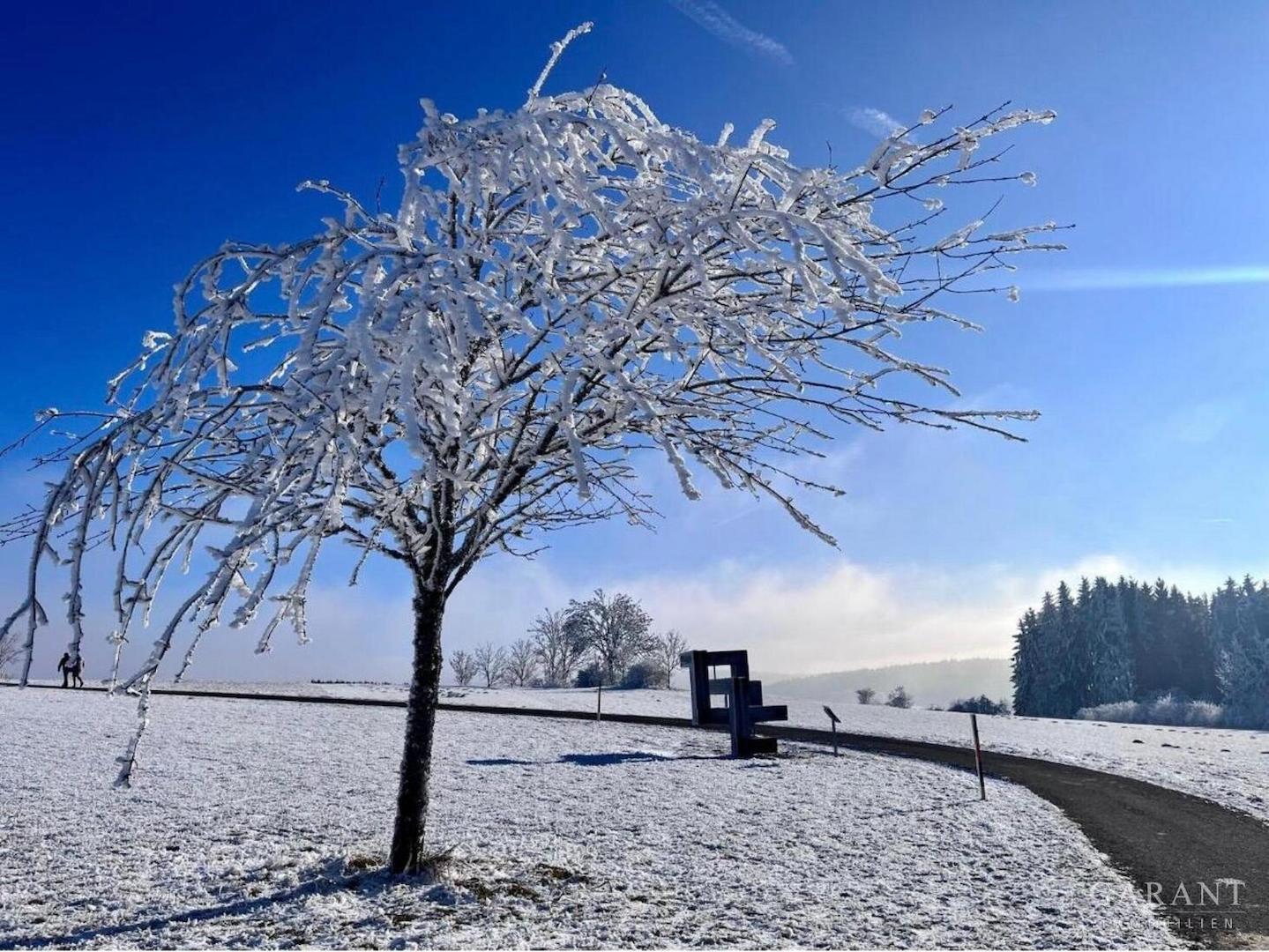 Winterimpression 5