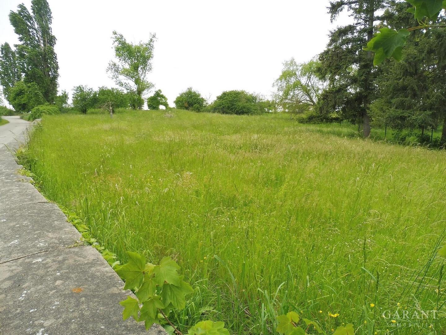05 Landwirtschaftsfläche