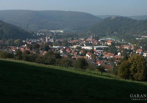Blick auf Amorbach
