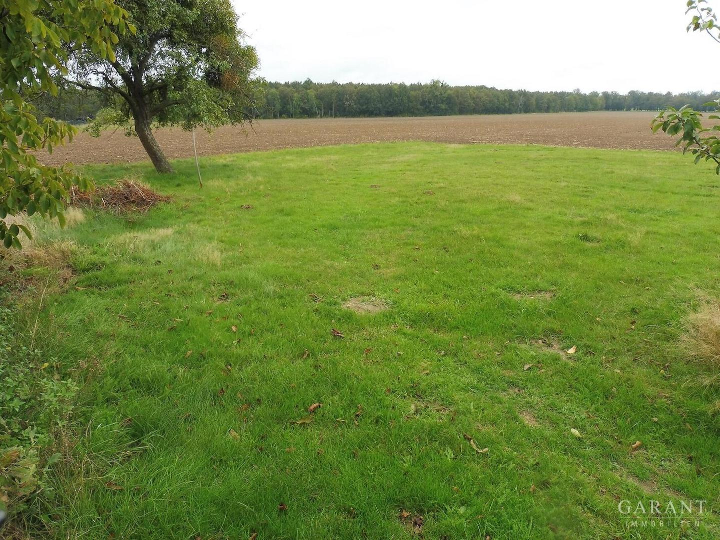 06-Freiflaeche