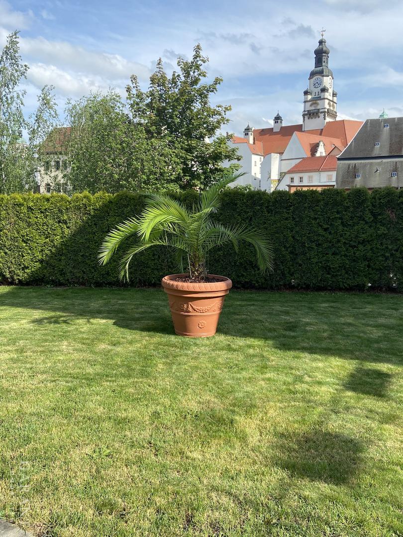 Blick vom Garten