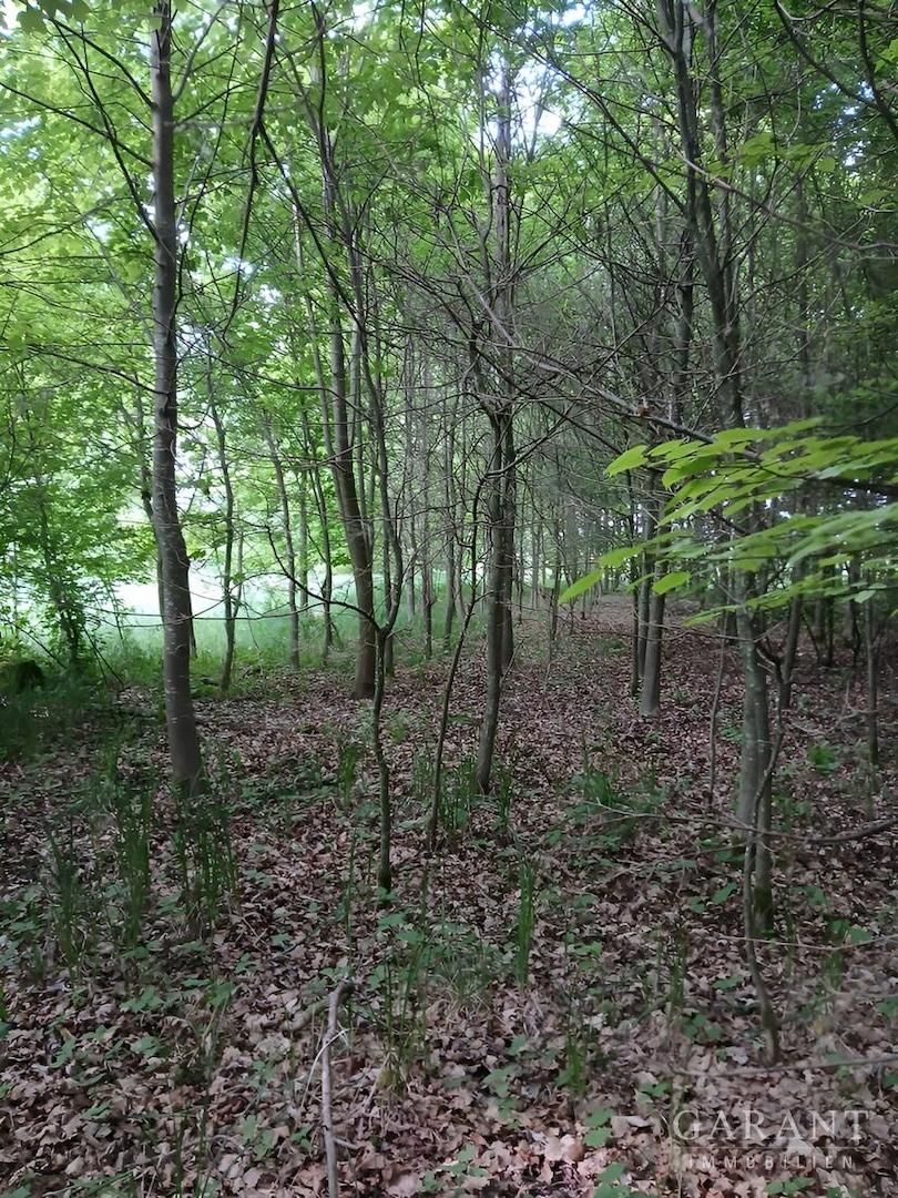 Wald