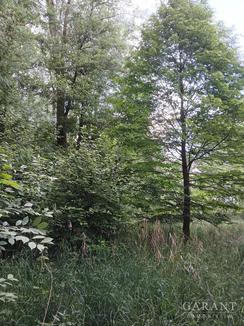 Landw. Grundstück