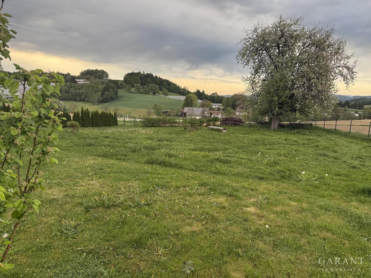 DER Garten!