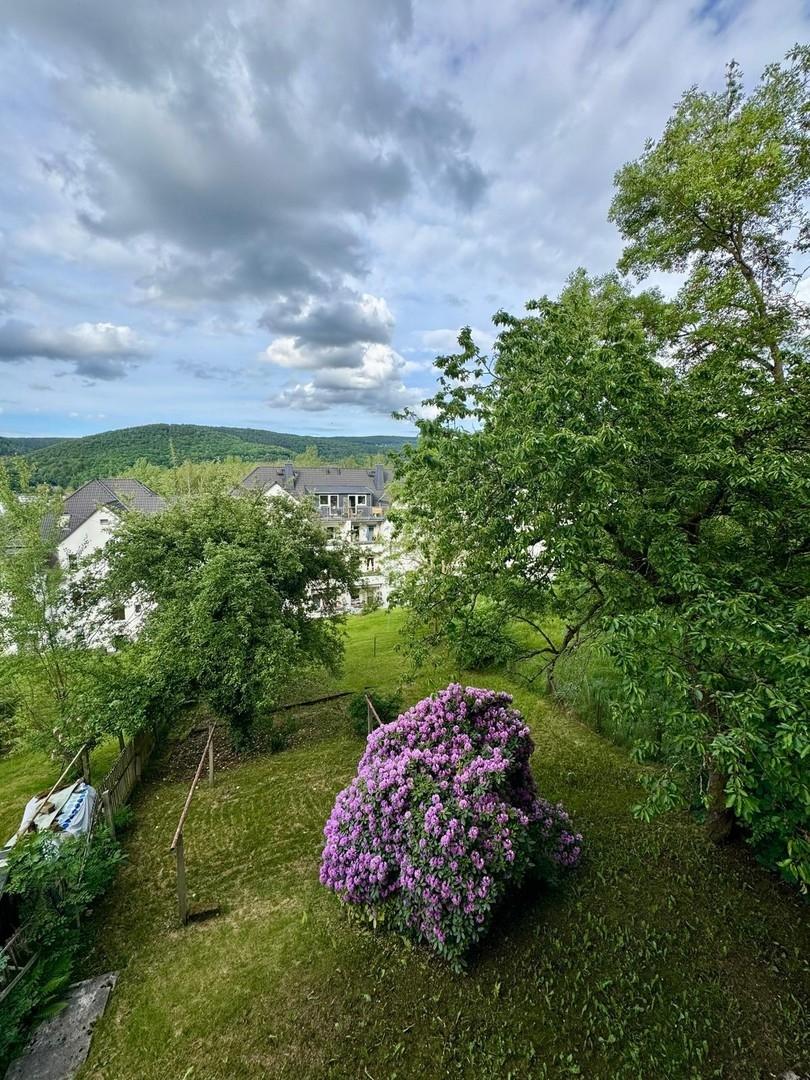 Garten 1
