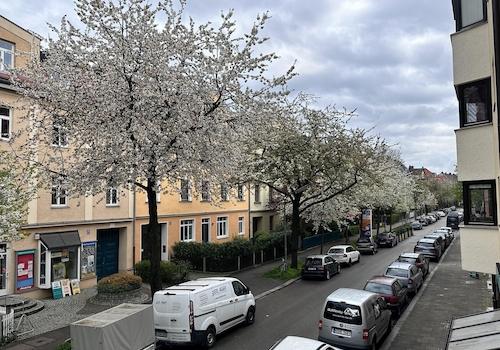 View of the street