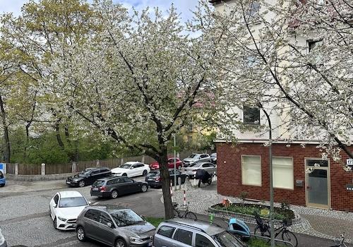 View of the street