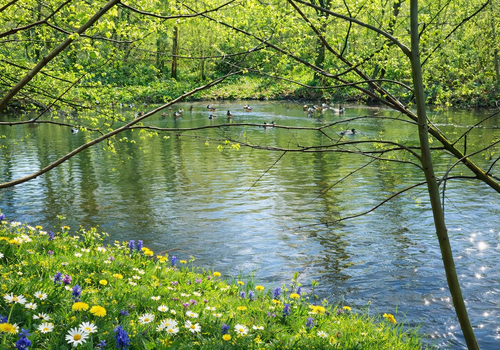 Teich am Haus