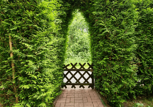 Garten
