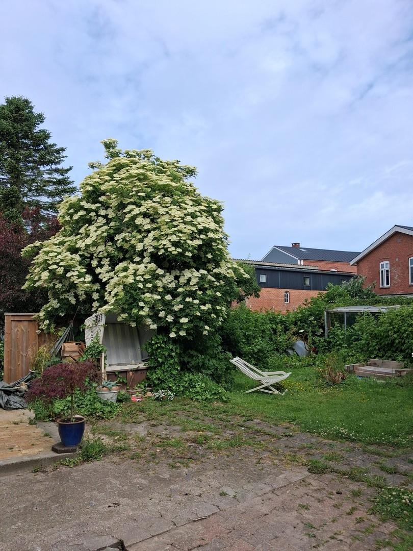 westlicher Garten