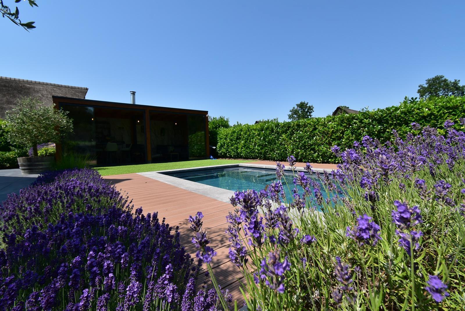 kaufen-freistehende-luxus-ferienvilla-baarle-nassau-blick-swimmingpool-lavendel-recreatieadviseurs-vakantiehuistekoop-nl.jpg