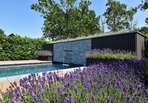 kaufen-freistehende-luxus-ferienvilla-baarle-nassau-swimmingpool-wasserfall-lavendel-recreatieadviseurs-vakantiehuistekoop-nl.jpg