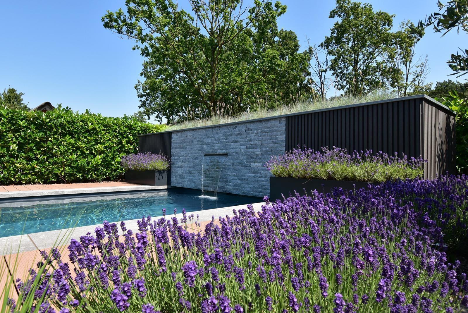 kaufen-freistehende-luxus-ferienvilla-baarle-nassau-swimmingpool-wasserfall-lavendel-recreatieadviseurs-vakantiehuistekoop-nl.jpg