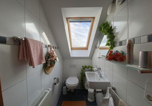 WC DG