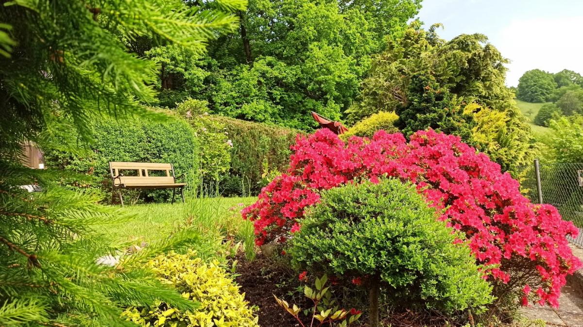 hübscher Garten