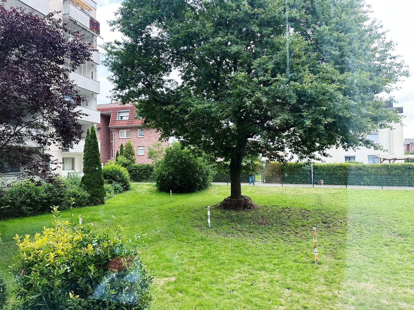 Blick ins Grüne