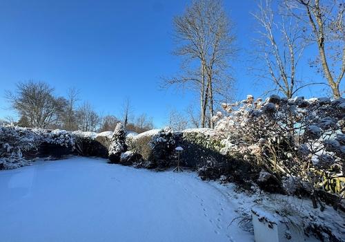 Garten im Winter