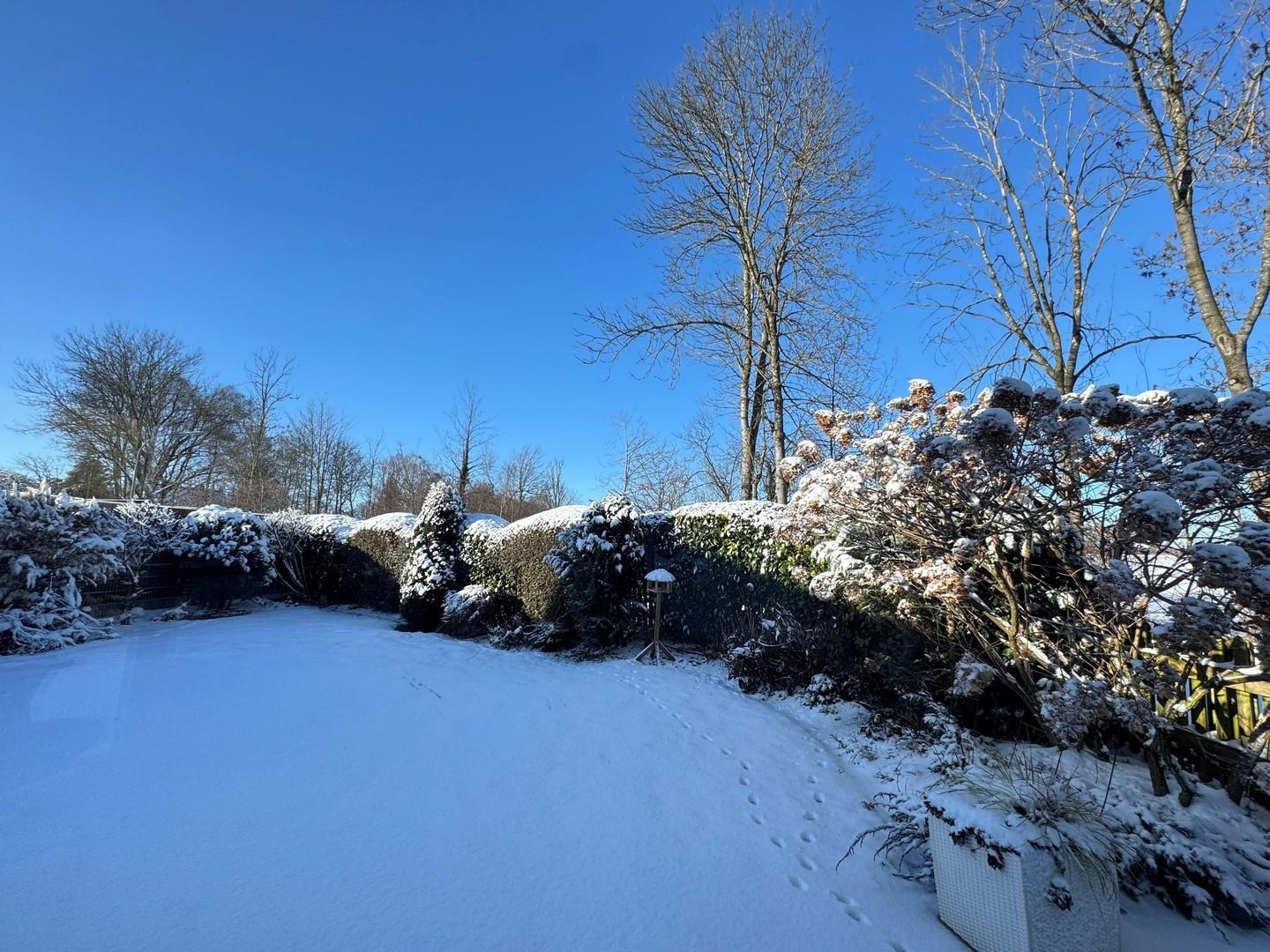 Garten im Winter