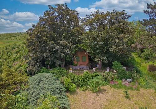 Gartenansicht oben 1