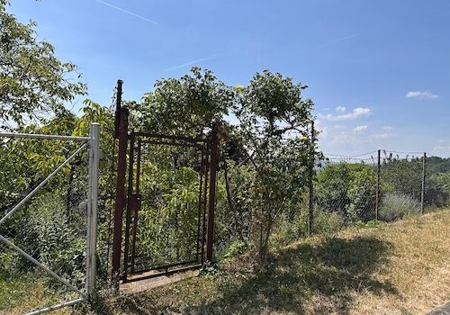 Obere Eingangstür